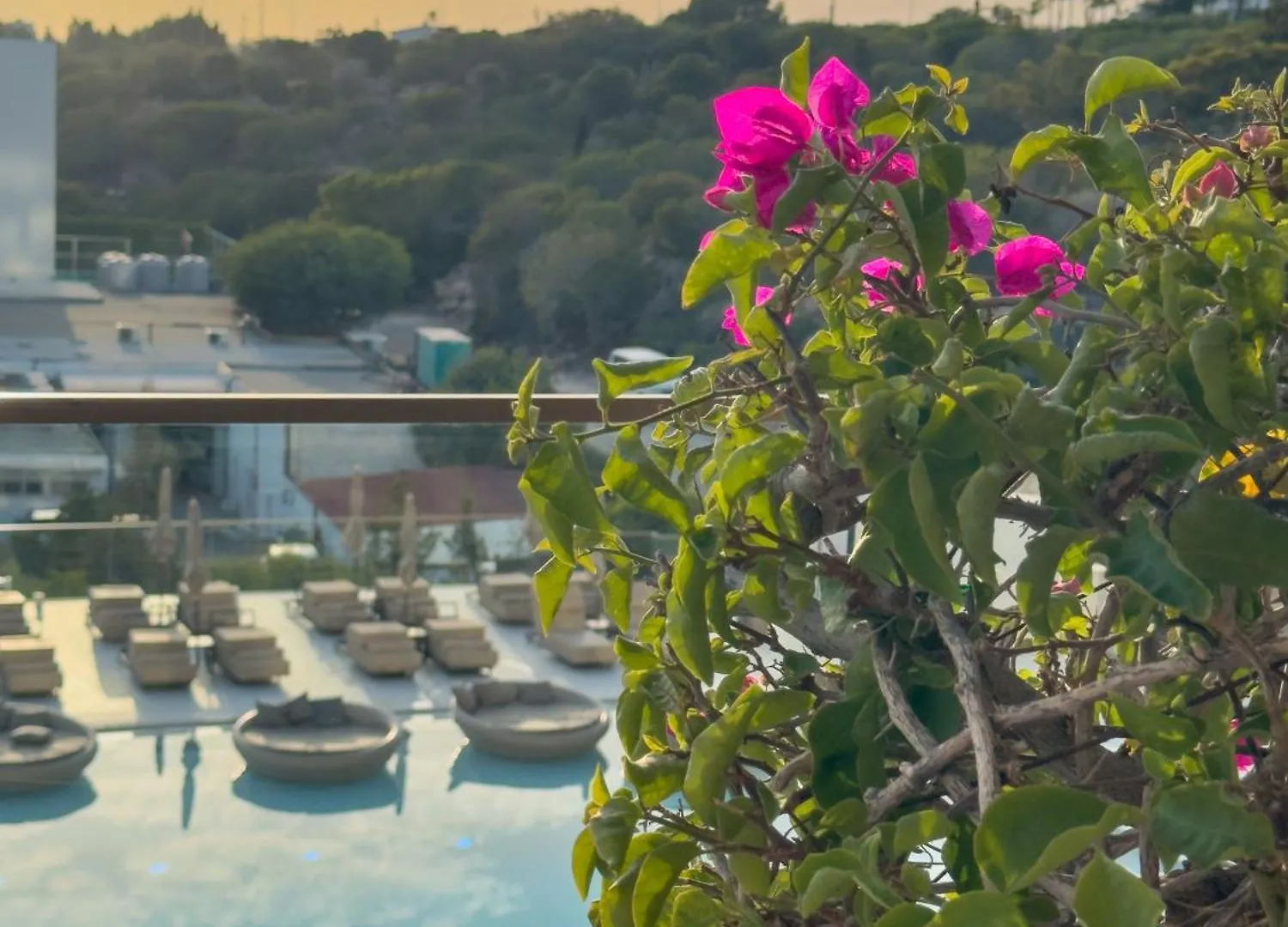 Amarande (Adults Only) Hotel Ayia Napa